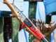 Blue Bird PCS 23-08 NIMBLER - Potatore a batteria su asta - 18V 4Ah