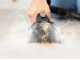 Bissell SpotClean HydroSteam Select - Lavamoquette - Tappezzerie - 1000W