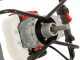 BlueBird NEA 431 - Mototrivella a miscela 2 tempi - Punta non inclusa