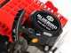BlueBird NEA 521-ESS - Mototrivella a miscela 2 tempi - Punta non inclusa
