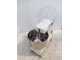 OUTLET - SENZA IMBALLO ORIGINALE - Famag IM 50/400 2 Velocit&agrave; - Impastatrice a spirale 50 Kg trifase