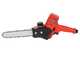 Blue Bird PS 22-40 + CS22-08 - Kit Forbice + Potatore a batteria - 43.2V 4Ah