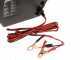 Ribimex PE12V - Verricello elettrico a batteria 12V - Con telecomando
