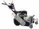 BullMach FALX 600 B&amp;S - Trinciaerba a martelli - B&amp;S CR950