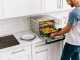 Ninja DT200EU - Forno Elettrico - Multifunzione 10 in 1 - 29L