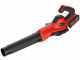 Einhell GE-UB 18/250 Li E - Soffiatore a batteria - 18V/4,0Ah