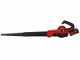 Einhell GE-UB 18/250 Li E - Soffiatore a batteria - 18V/4,0Ah
