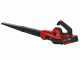 Einhell GE-UB 18/250 Li E - Soffiatore a batteria - 18V/4,0Ah