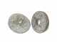 OUTLET - DIFETTI ESTETICI - Komo Flic Floc 1200g - Mulino per farina e fioccatrice - Motore da 600W