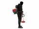 EFCO DSF 5400 - Decespugliatore a zaino - Motore Emak