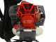 EFCO DSF 5400 - Decespugliatore a zaino - Motore Emak