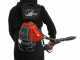 EFCO DSF 5400 - Decespugliatore a zaino - Motore Emak