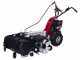 Eurosystems Minieffe - Decespugliatore a ruote a benzina - Loncin 196 OHV