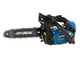 Hyundai TCS2510 - Motosega da potatura a scoppio - Lama da 25 cm