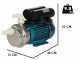 Tellarini ALM 25 MS - Pompa elettrica da travaso in acciaio inox - Raccordi in NYLON dritto+curvo - Scegli i tuoi raccordi!