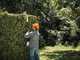 STIHL HLA 56 - Tagliasiepi su asta con batteria AK 20 - 36V 4Ah