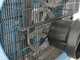 OUTLET - DIFETTI ESTETICI - Campagnola PTO ECOPLUS 520 - Compressore con attacco a trattore - Raccolta olive e potatura