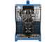 OUTLET - DIFETTI ESTETICI - Campagnola PTO ECOPLUS 520 - Compressore con attacco a trattore - Raccolta olive e potatura