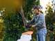 STIHL GHE 140 L - Biotrituratore elettrico - Taglio con rullo - Cesto di raccolta