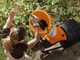 STIHL GHE 250 S - Biotrituratore elettrico - Coltelli reversibili