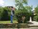 STIHL FSE 71 - Decespugliatore elettrico - 540 W