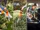 STIHL ASA 20 - Forbice elettrica da potatura - 10.8V 2.6Ah