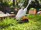 STIHL FSA 30 - Tagliabordi con batteria AS - 10,8V 2,6Ah