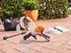 STIHL RCA 20 - Pistola idropulitrice a batteria - 2X10.8V / 2.6Ah