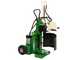 OUTLET - PICCOLI DIFETTI ESTETICI - Greenbay WoodCut 15-52 T - Spaccalegna elettrico - Orientabile