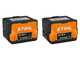 STIHL MSA 70 C-B Set - Elettrosega a batteria da taglio - Barra carving da 30 cm - 2x 36V 5Ah
