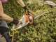 STIHL HSE 52 - Tagliasiepi elettrico con lama da 50 cm - 460W