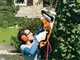 STIHL HSE 61 - Tagliasiepi elettrico con lama da 50 cm - 500W
