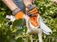 STIHL GTA 26 Set - Potatore manuale con batteria AS - 10.8V 2.6Ah