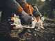 STIHL GTA 40 Set - Potatore manuale a batteria - 21.6V - 2x 10.8V 2.6Ah