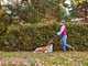 STIHL RME 339 C - Tagliaerba elettrico 1200 W - Taglio 37 cm