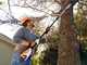 STIHL HTA 50 Set - Potatore su asta telescopica a batteria - 36V 4Ah
