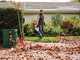 STIHL BGA 50 Set - soffiatore a batteria - 36V 4Ah