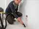 Lavor WTP 30 XE - Aspirapolvere aspiraliquidi - Fusto Inox 30 lt - 1600 W