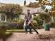 STIHL SHA 56 - Soffiatore aspiratore con batteria AK 20 - 36V 4Ah