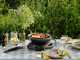 Campingaz 360 Grill CV - Barbecue a gas portatile
