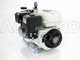 OUTLET - DIFETTI ESTETICI - Motopompa irrorazione con pompa Comet APS 41 motore a scoppio Honda GP 160
