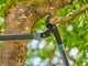 Gardena EnergyCut Pro L - Troncarami a incudine - Lunghezza 75cm