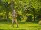 Gardena StarCut Pro S - Forbicione troncarami su asta fissa da 160cm - &Oslash; 32 mm