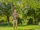 Gardena StarCut Pro S - Forbicione troncarami su asta fissa da 160cm - &Oslash; 32 mm