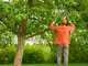 Gardena TeleCut Pro L - Troncarami Bypass Telescopico - Lunghezza 65/90cm