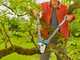 Gardena TeleCut Pro L - Troncarami Bypass Telescopico - Lunghezza 65/90cm