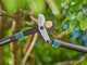 Gardena EnergyCut Pro L - Troncarami Bypass - Lunghezza 75cm
