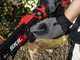 Skil 0514 CA - Potatore telescopico a batteria - 20V - SENZA BATTERIA E CARICABATTERIA