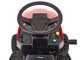 Special MP 84 HD - Trattorino tagliaerba - Cambio idrostatico - Cesto di raccolta - Mulching