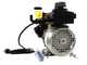 OUTLET - DIFETTI ESTETICI - Comet APS 31 - Motopompa elettrica per irrorazione - Motore monofase 2 HP